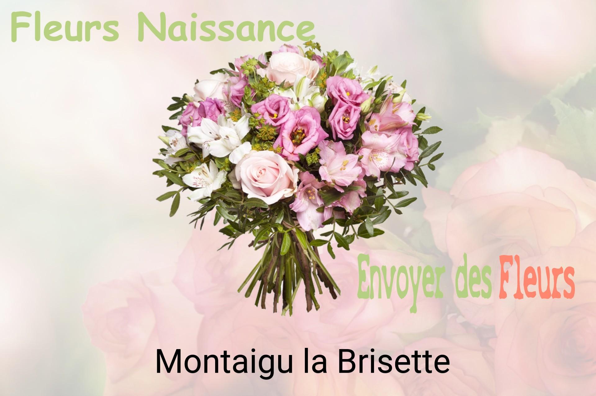 Bouquet de fleurs de naissance livré à Montaigu-la-Brisette